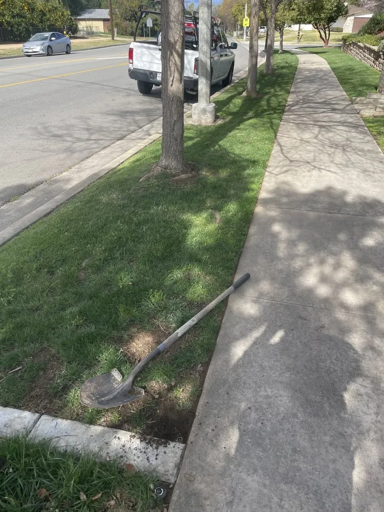 Top-rated residential landscaping experts serving Rialto, CA - Oak Ram Lawncare