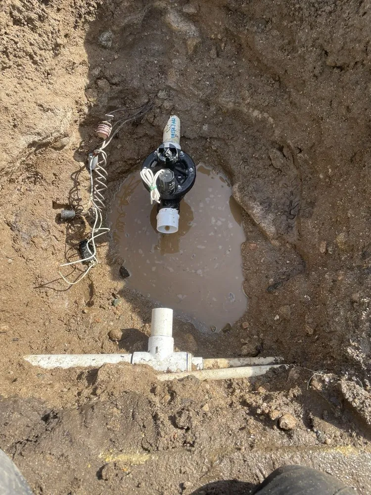 Local landscape design in Rialto, CA - Oak Ram Lawncare