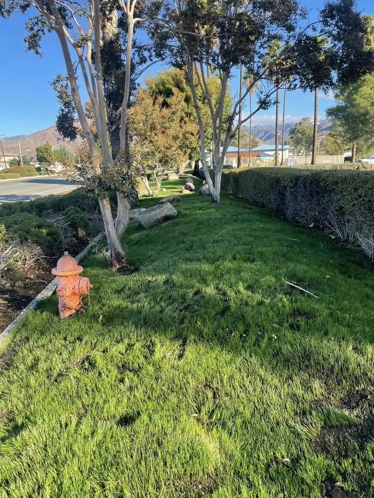 Top-rated lawn mowing service near you in Rialto, CA by Oak Ram Lawncare