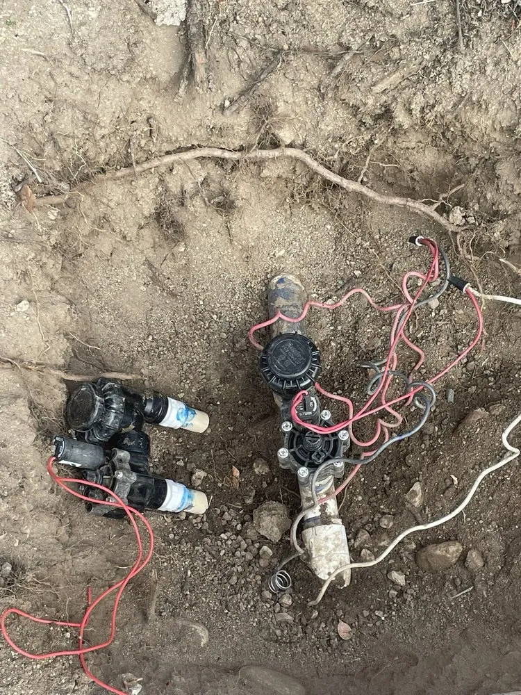 Top-rated residential landscaping near you in Rialto, CA by Oak Ram Lawncare