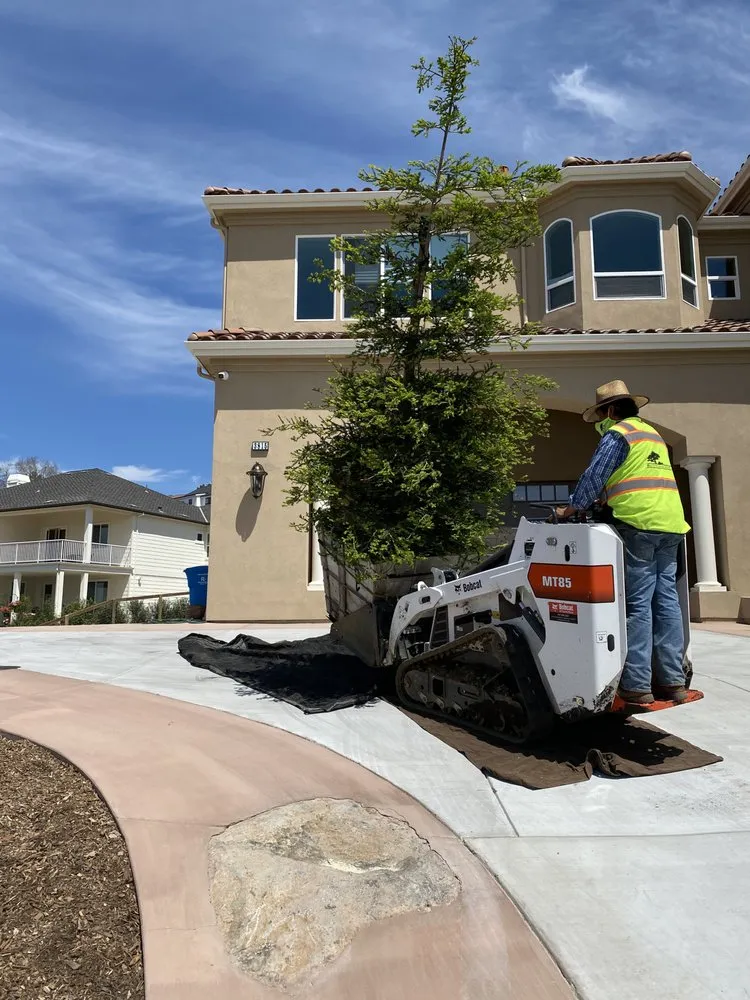 Local landscaping services for residential properties across Point Reyes Station, CA - Oak River Landscaping