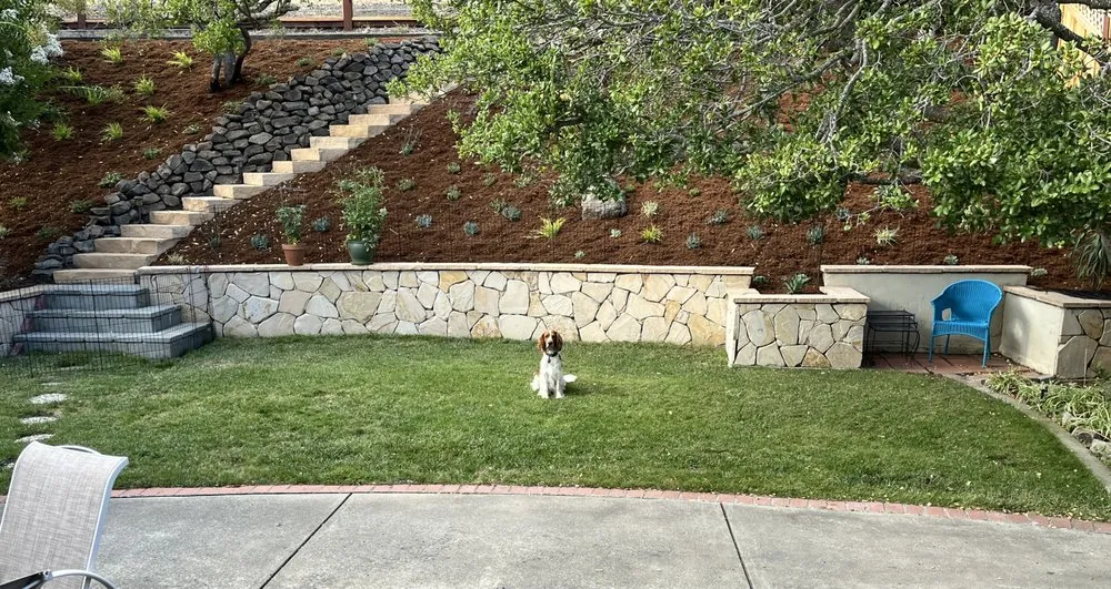 Local garden landscaping experts serving Point Reyes Station, CA - Oak River Landscaping