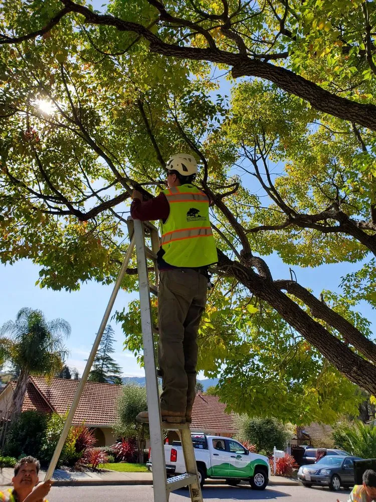 Top-rated lawn care service for residential properties across Point Reyes Station, CA - Oak River Landscaping