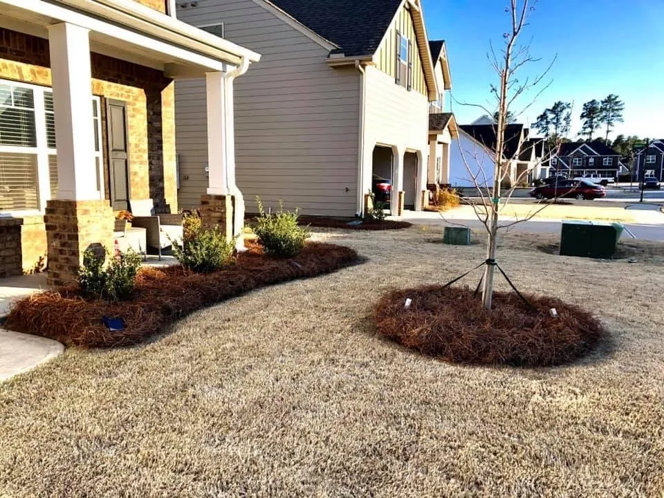Reliable landscape design experts serving SC, SC - Oak Roots Landscaping