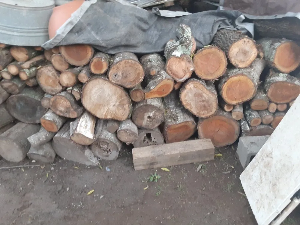 Trusted landscape design in Knoxville, TN - Oak Three Alliance Property Maintenance