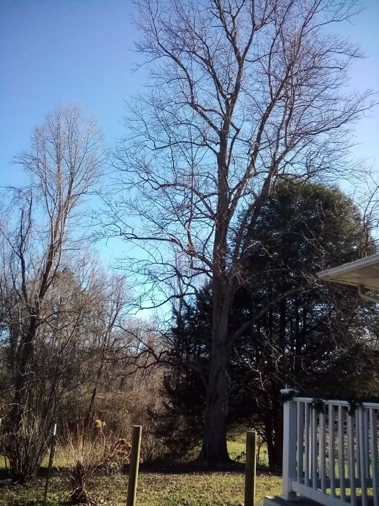 Affordable landscape installation in Knoxville, TN by Oak Three Alliance Property Maintenance