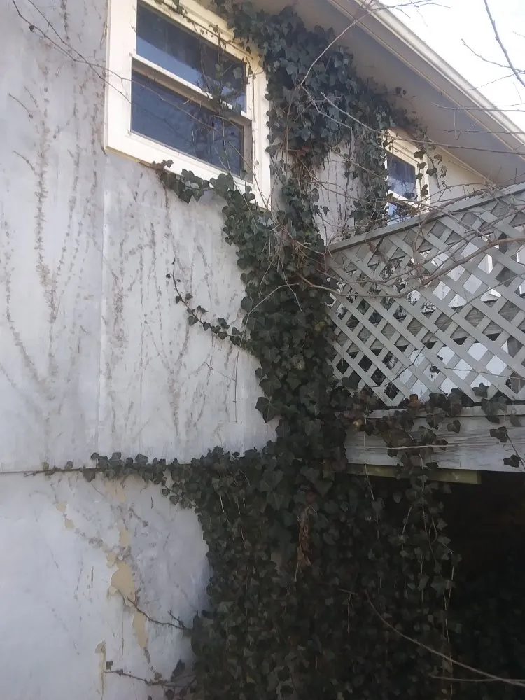 Reliable landscape installation experts serving Knoxville, TN - Oak Three Alliance Property Maintenance