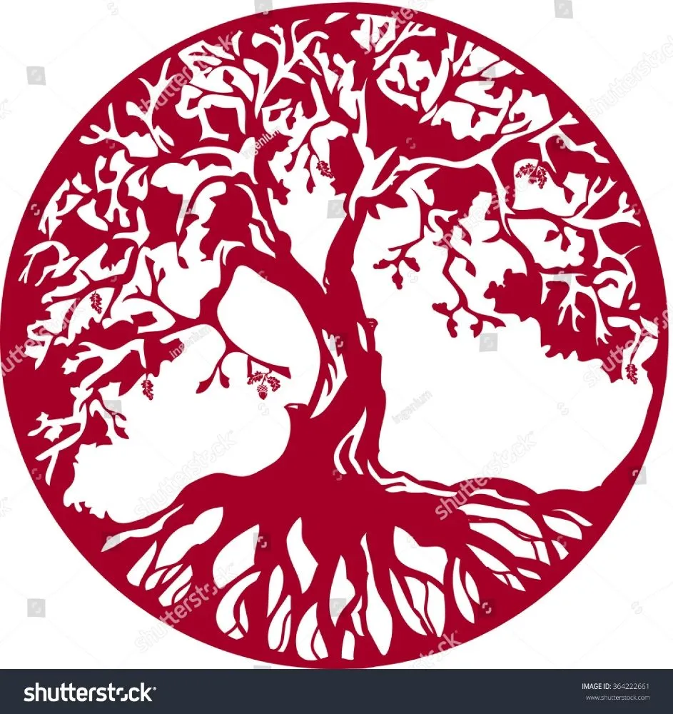 Expert landscaping services experts serving Knoxville, TN - Oak Three Alliance Property Maintenance