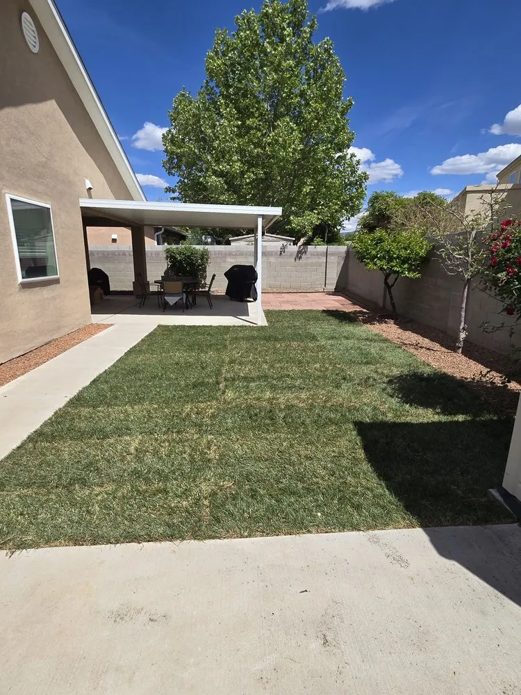 Affordable landscape design in Albuquerque, NM - Oak Tree Landscape