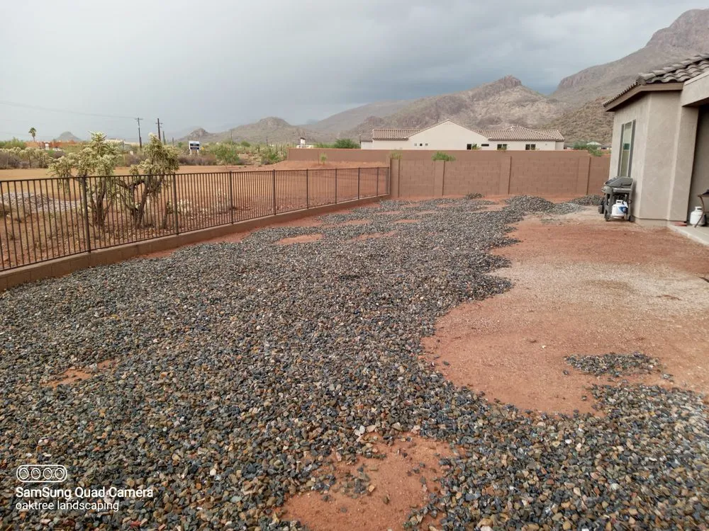 Top-rated garden landscaping for homes across Tucson, AZ - Oak Tree Landscape