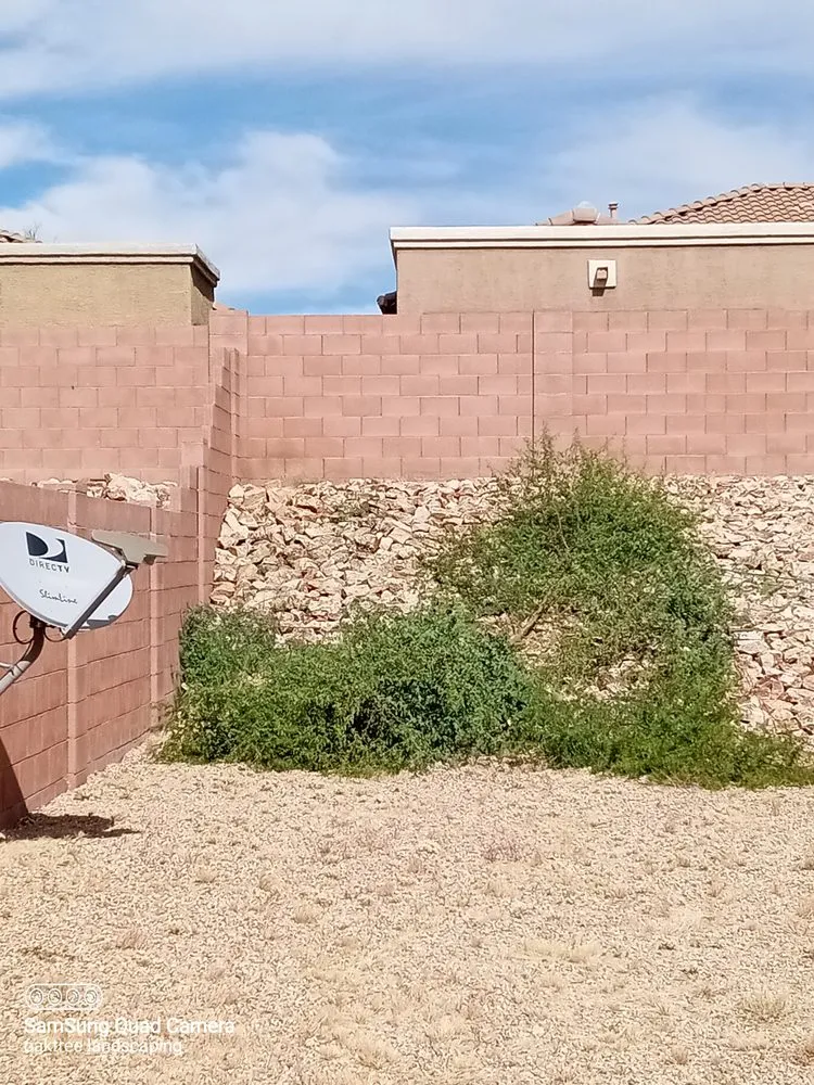 Expert yard maintenance in Tucson, AZ - Oak Tree Landscape