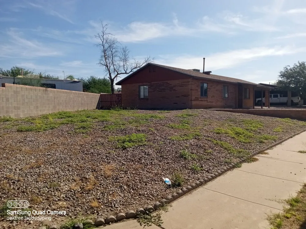 Top-rated outdoor landscaping experts serving Tucson, AZ - Oak Tree Landscape