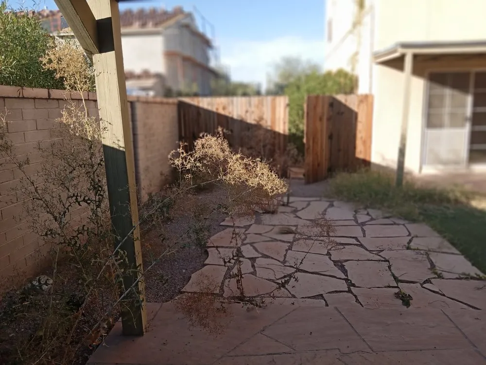 Affordable landscape installation for outdoor upgrades across Tucson, AZ - Oak Tree Landscape