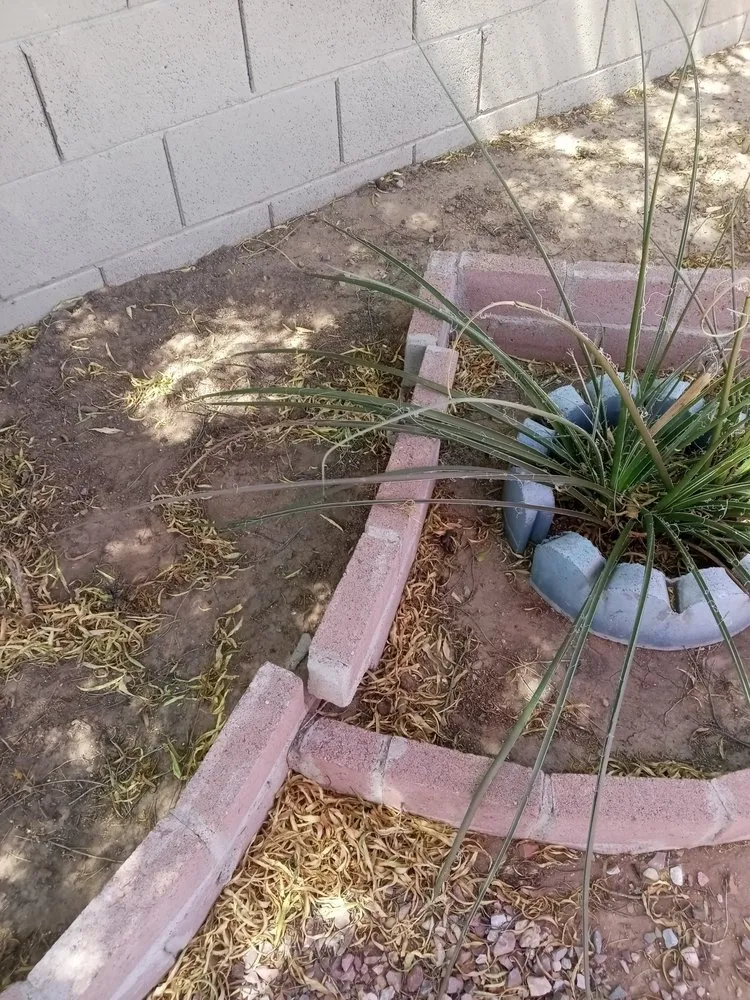 Affordable garden landscaping with custom design in Tucson, AZ by Oak Tree Landscape