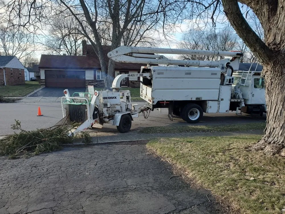 Local landscape installation experts serving Casstown, OH - Oak Tree Services