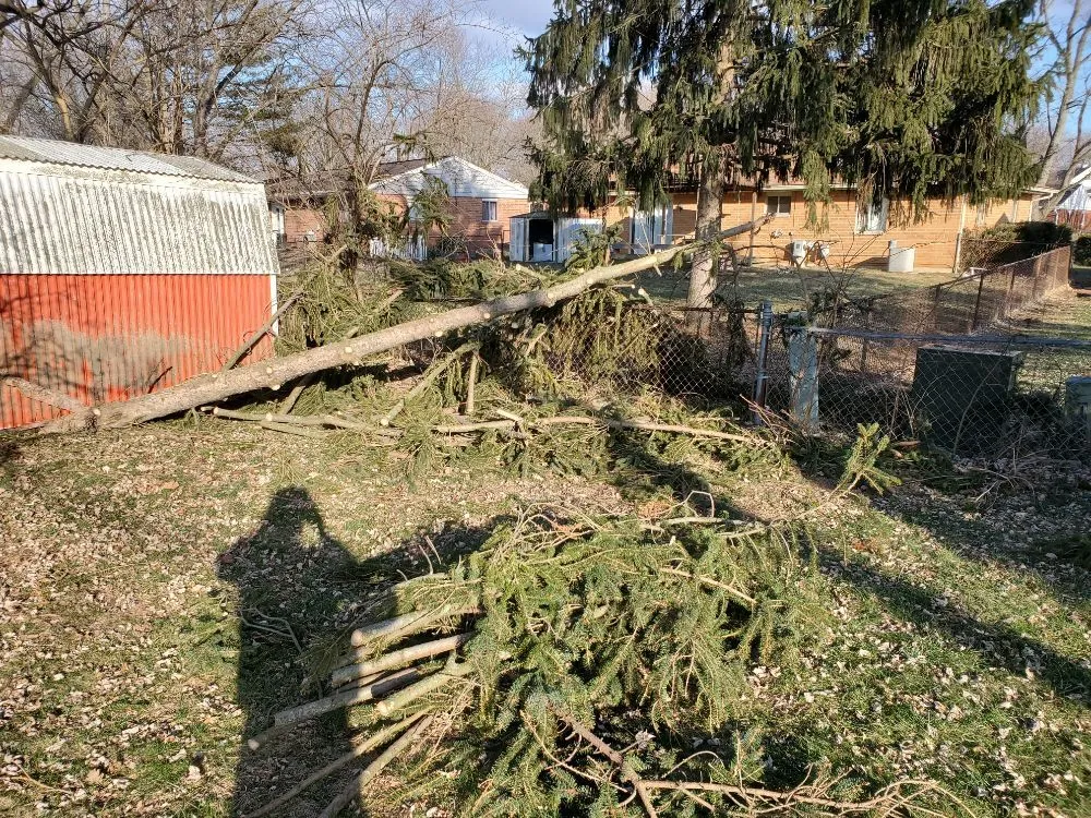 Professional landscaping services in Casstown, OH by Oak Tree Services