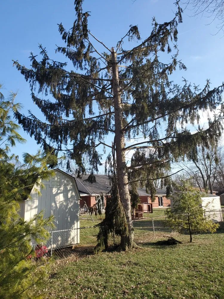 Professional landscape installation in Casstown, OH - Oak Tree Services