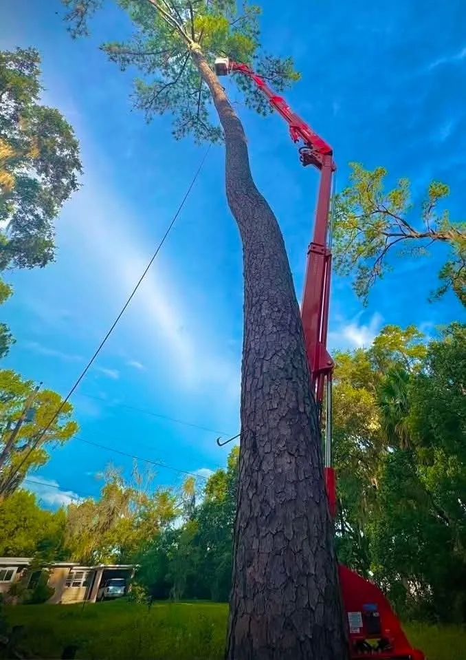 Local landscaping services for beautiful yards in Chapel Hill, TN by Oak Valley Grounds Management