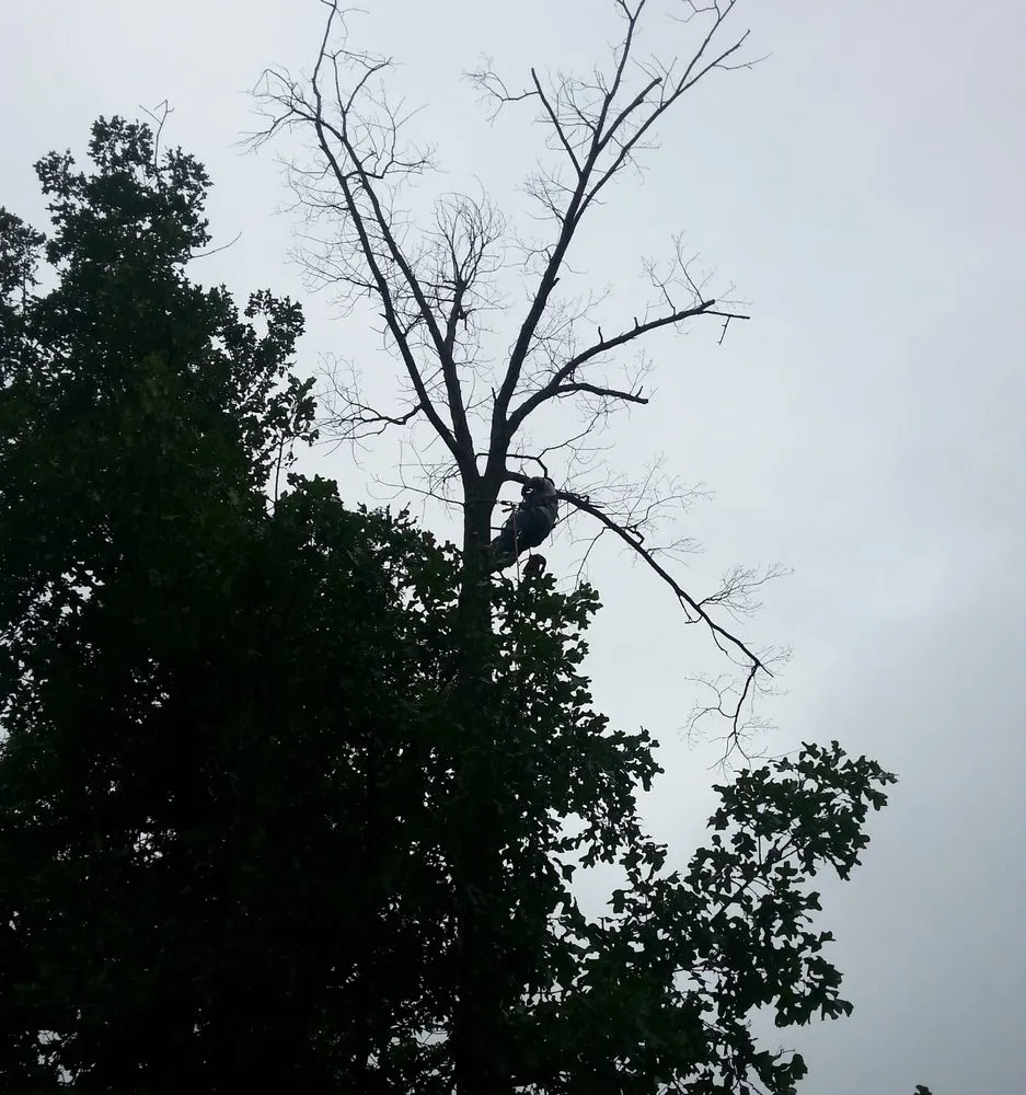 Expert yard maintenance with custom design across Hot Springs, AR - Oak Valley Property Maintenance