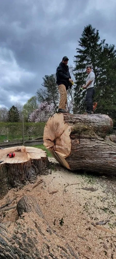 Top-rated landscape design in Syracuse, NY by Oakes Property Maintenance and Tree Service