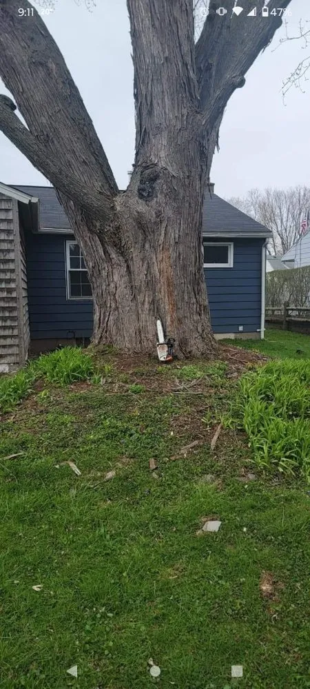 Local landscaping services for homes in Syracuse, NY by Oakes Property Maintenance and Tree Service