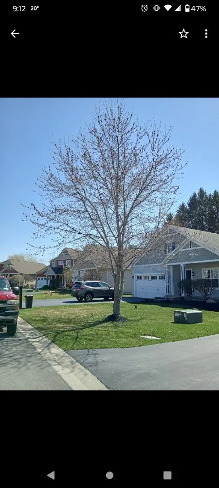 Affordable landscape design in Syracuse, NY by Oakes Property Maintenance and Tree Service