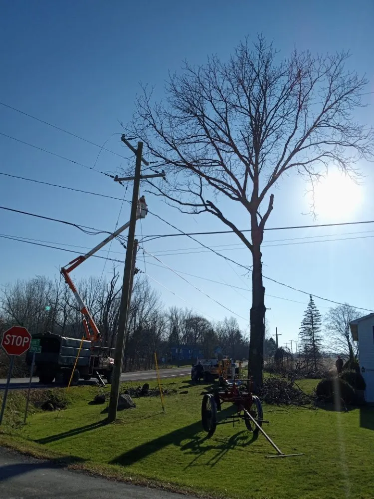 Top-rated landscape design in Syracuse, NY by Oakes Property Maintenance and Tree Service