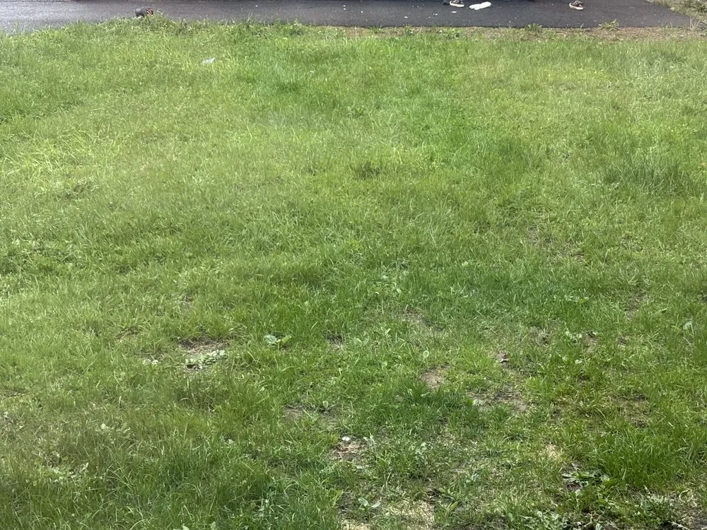 Local landscaping services for outdoor upgrades in Winslow, ME by Oakes’s Lawncare & Property Maintenance