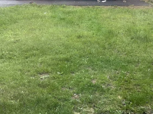 Oakes’s Lawncare & Property Maintenance