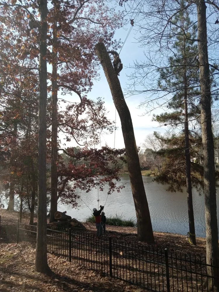 Expert landscape design for homes in Charlotte, NC by Oakhurst Landscaping and TreeSservice