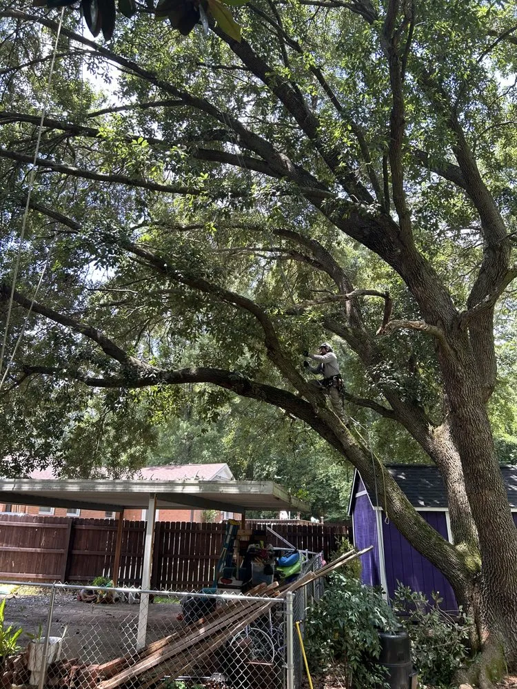 Top-rated lawn mowing service experts serving Charlotte, NC - Oakhurst Landscaping and TreeSservice