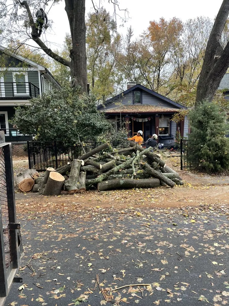 Reliable garden landscaping for homes across Charlotte, NC - Oakhurst Landscaping and TreeSservice