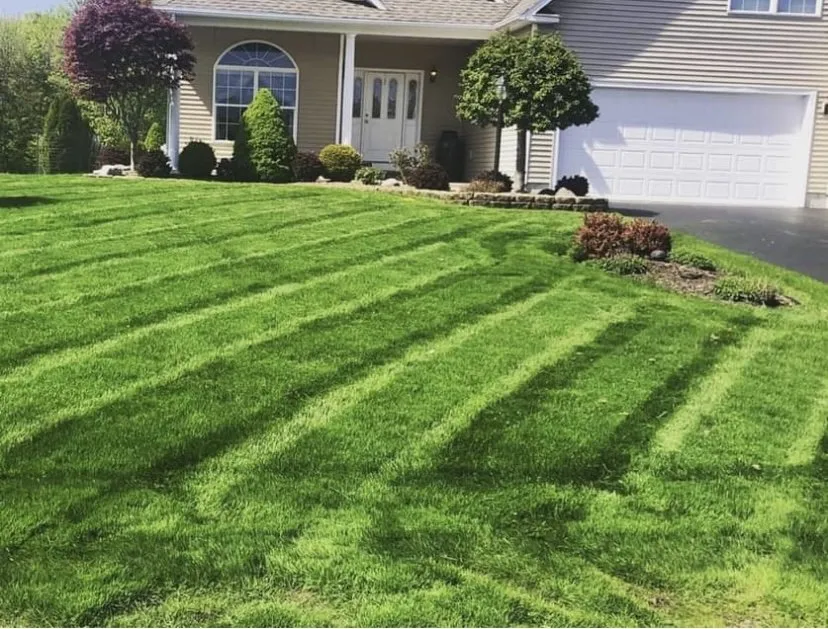 Professional yard maintenance for outdoor upgrades across Folsom, CA - Oakie’s Landscaping