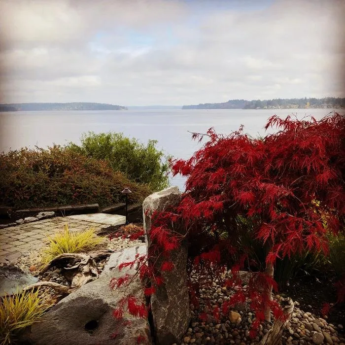 Expert yard maintenance in Shelton, WA - Oakland Bay Landscape Services