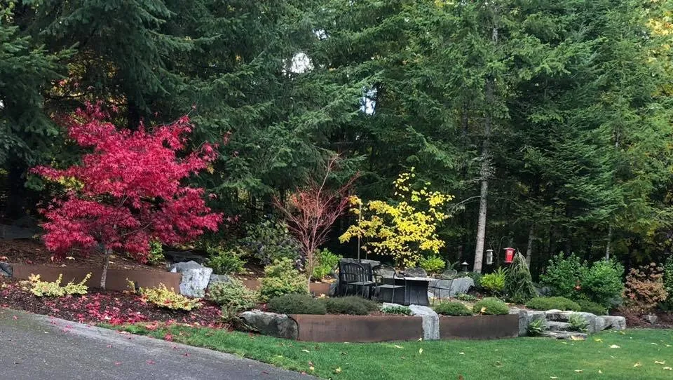 Affordable yard maintenance in Shelton, WA by Oakland Bay Landscape Services