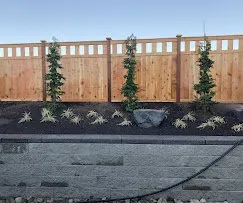 Local yard maintenance for beautiful yards in Tacoma, WA by Oakland Fencing and Landscaping
