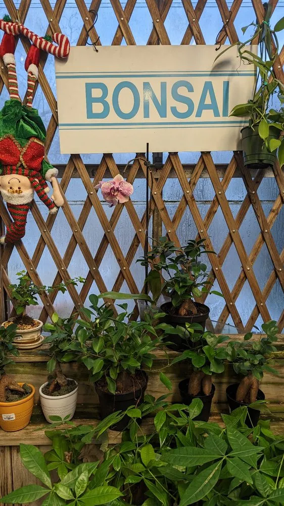 Affordable yard cleanup service experts serving Columbus, OH - Oakland Nursery - Columbus