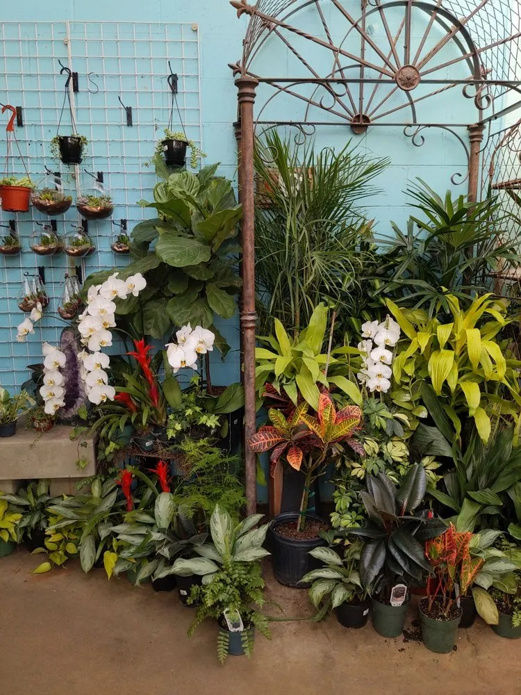 Trusted lawn care service in Columbus, OH - Oakland Nursery - Columbus