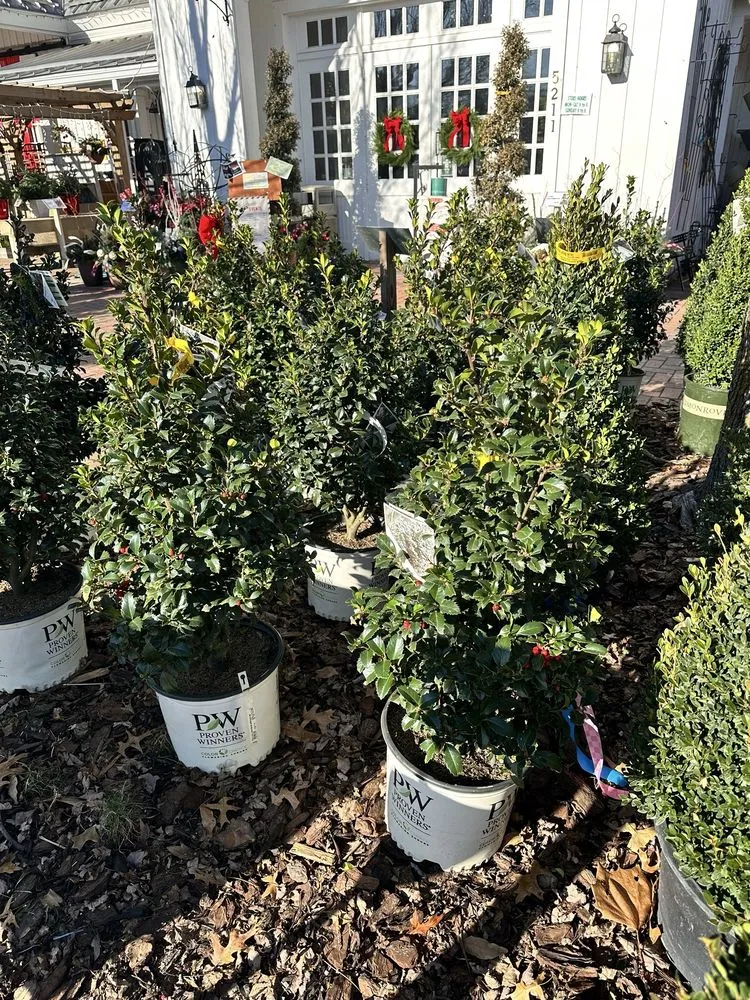 Custom lawn care service near you in Columbus, OH by Oakland Nursery - Columbus