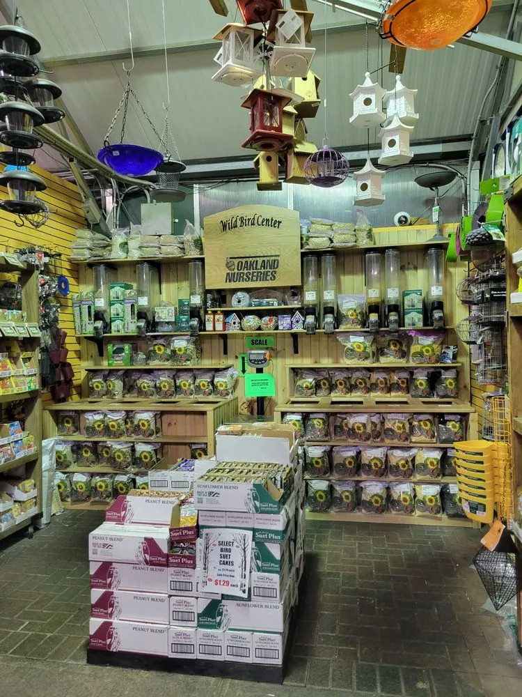 Expert yard cleanup service with custom design in Columbus, OH by Oakland Nursery - Columbus