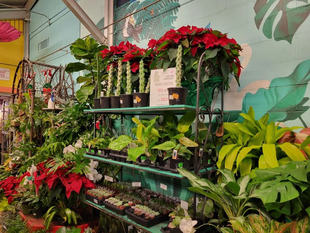 Top-rated yard cleanup service for year-round maintenance in Columbus, OH by Oakland Nursery - Columbus