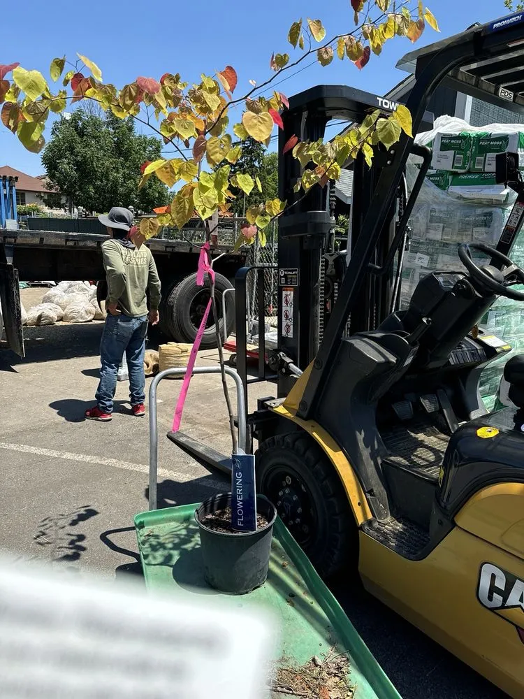 Expert residential landscaping in Columbus, OH by Oakland Nursery - Columbus