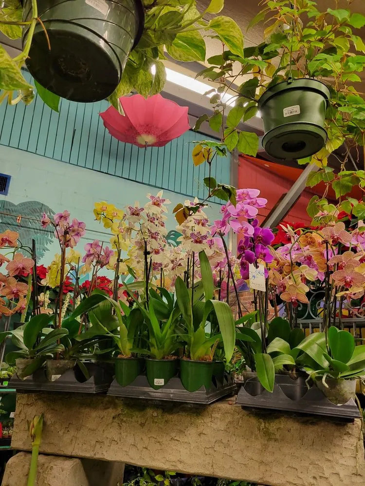 Trusted outdoor landscaping in Columbus, OH by Oakland Nursery - Columbus