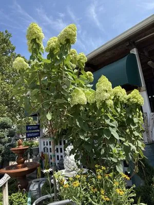 Oakland Nursery - Columbus