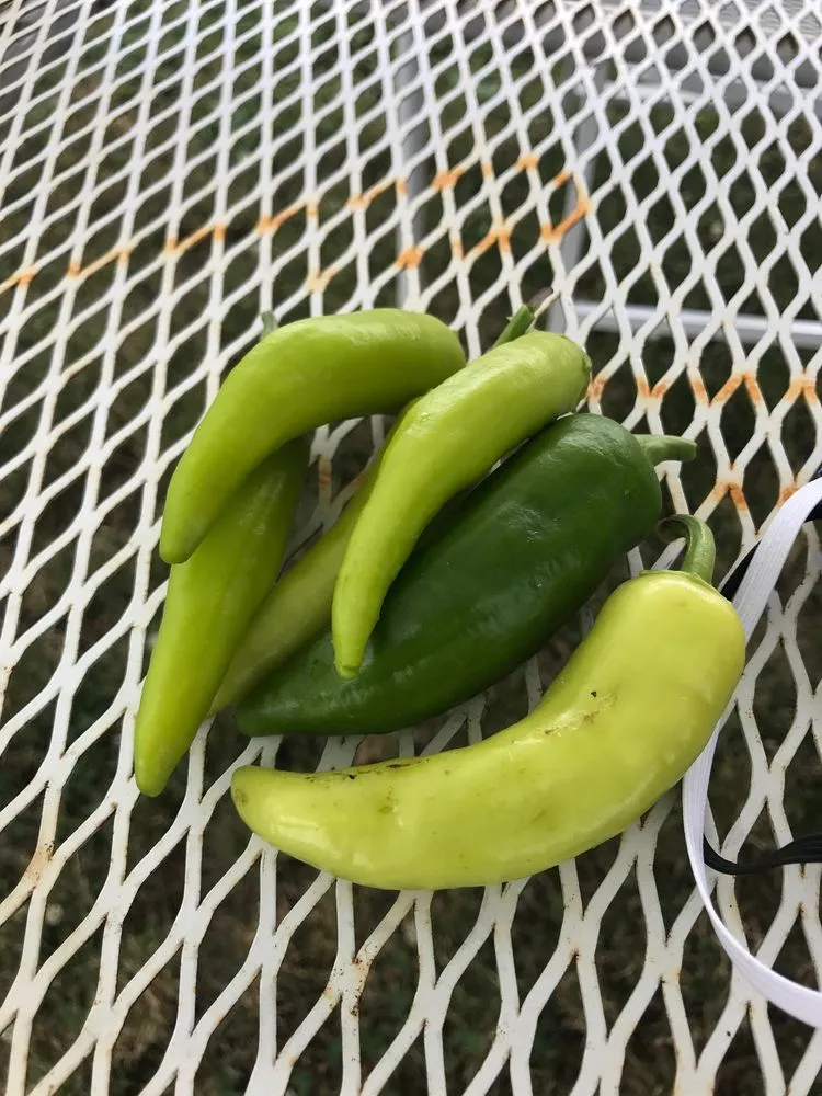 Custom residential landscaping in Delaware, OH by Oakland Nursery - Delaware