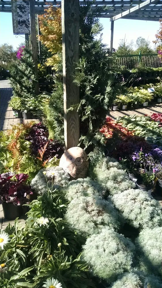 Reliable lawn care service in Delaware, OH by Oakland Nursery - Delaware