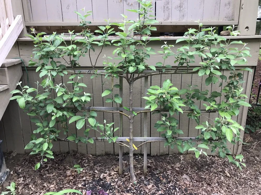 Local garden landscaping experts serving Delaware, OH - Oakland Nursery - Delaware