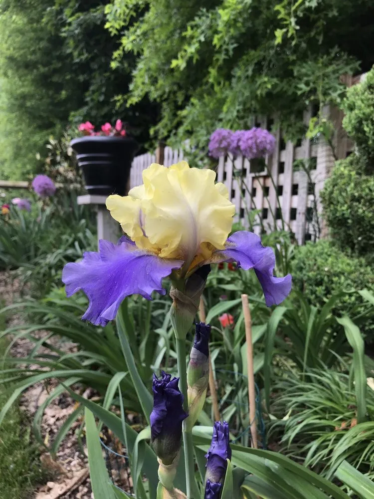 Affordable residential landscaping in Delaware, OH by Oakland Nursery - Delaware