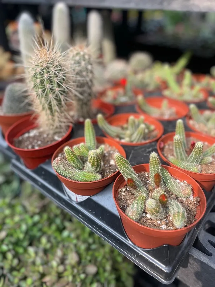 Top-rated lawn care service experts serving Dublin, OH - Oakland Nursery