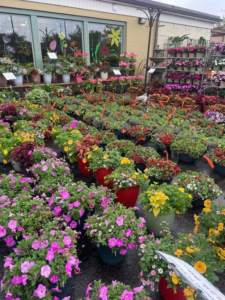 Affordable outdoor landscaping in Dublin, OH by Oakland Nursery